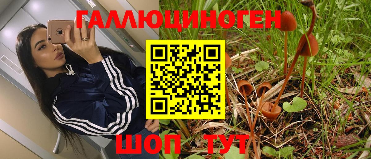 Северобайкальск  Псилоцибиновые грибы Psilocybe  Псилоцибиновые грибы MAGIC MUSHROOMS  Вход с VPN 